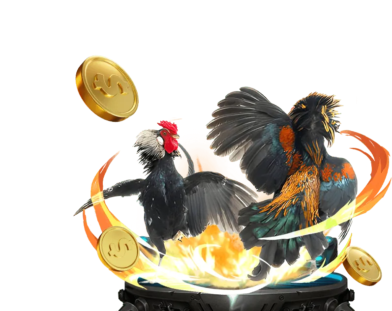 Đá Gà tại Bigbet Casino